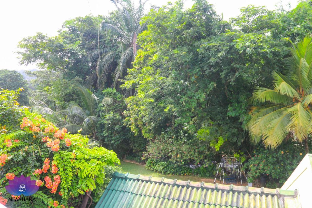 Nivahana Homestay Канди Екстериор снимка