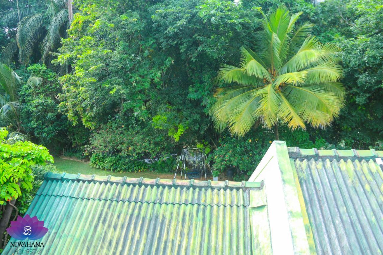 Nivahana Homestay Канди Екстериор снимка